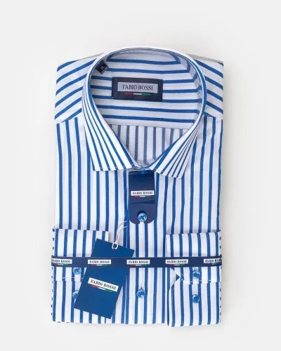 Chemise Homme Élégante à Rayures Bleues et Blanches