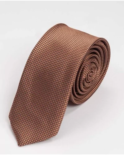Cravate à Carreaux Ermenegildo Zegna en Soie