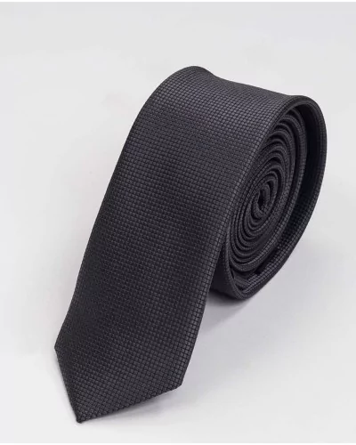 Cravate à Carreaux Ermenegildo Zegna en Soie
